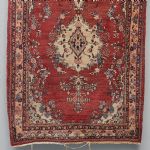 1045 8290 ORIENTAL RUG